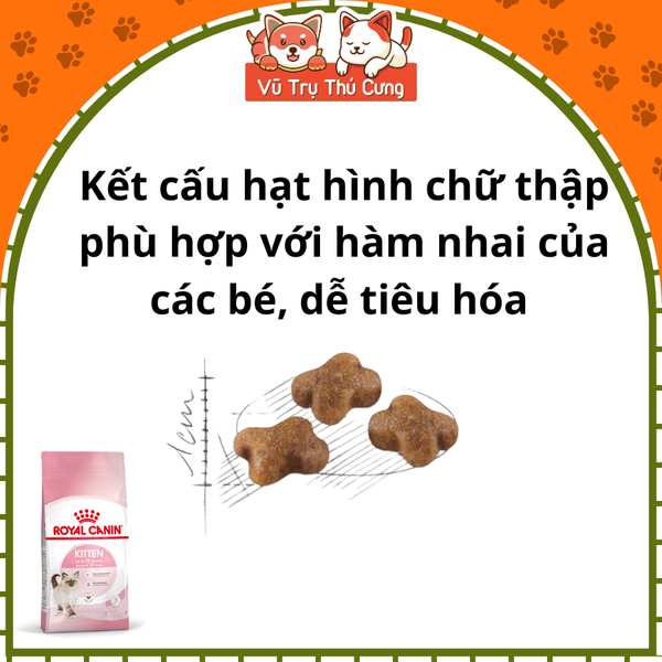 Hạt Royal Canin Kitten cho mèo con 500g