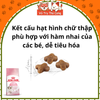 Hạt Royal Canin Kitten cho mèo con 500g