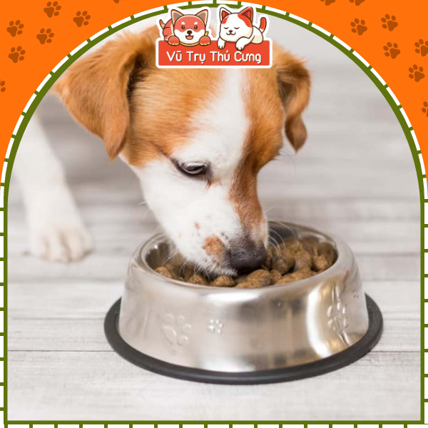 Thức Ăn Hạt Cho Chó Ganador Nhiều Dinh Dưỡng 400g