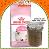 Hạt Royal Canin Kitten cho mèo con 500g