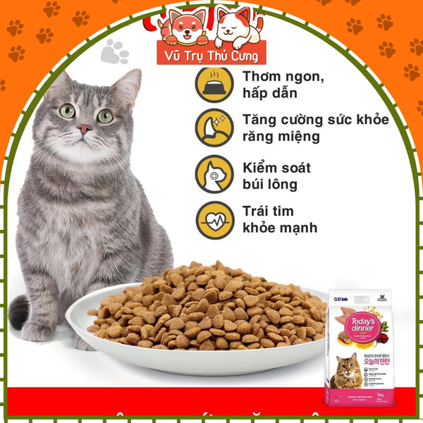 (1Kg) Thức Ăn Hạt Today's Dinner Cho Mèo Mọi Lứa Tuổi