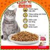 (1Kg) Thức Ăn Hạt Today's Dinner Cho Mèo Mọi Lứa Tuổi