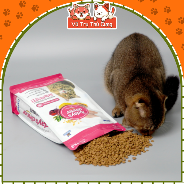 (1Kg) Thức Ăn Hạt Today's Dinner Cho Mèo Mọi Lứa Tuổi