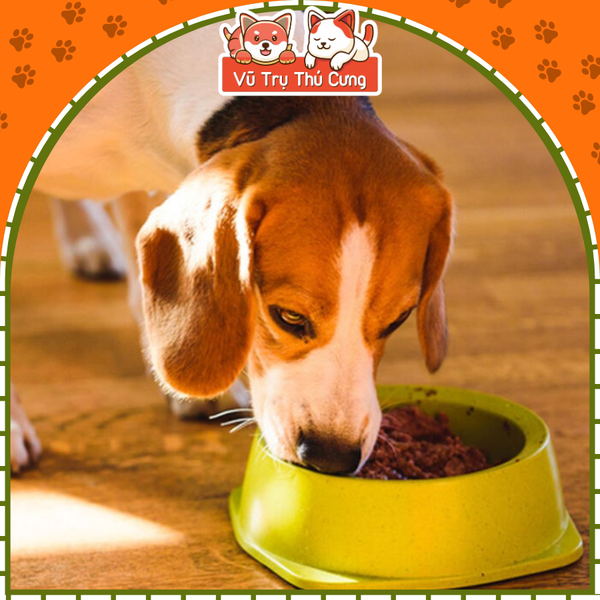 Pate cho chó Pedigree xuất xứ Thái Lan