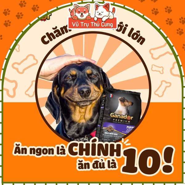 Thức ăn hạt Ganador Puppy Sữa & DHA cho chó con 400g