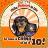 Thức ăn hạt Ganador Puppy Sữa & DHA cho chó con 400g