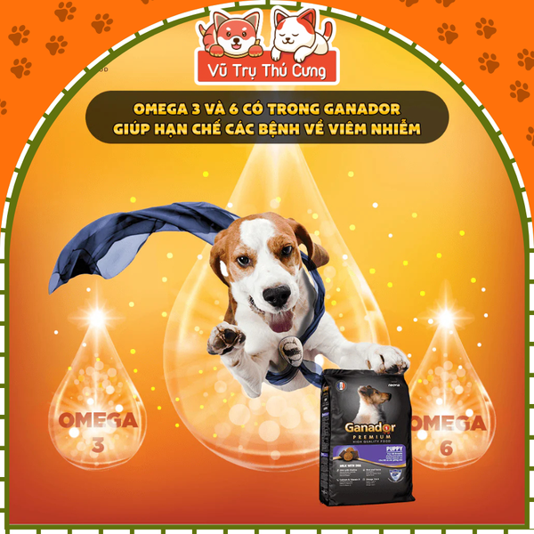 Thức ăn hạt Ganador Puppy Sữa & DHA cho chó con 400g