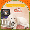 Thức ăn hạt Ganador Puppy Sữa & DHA cho chó con 400g