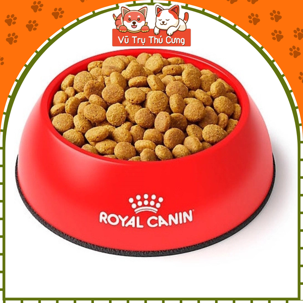 Hạt cho mèo bị sỏi thận Royal Canin Urinary S/O 400g