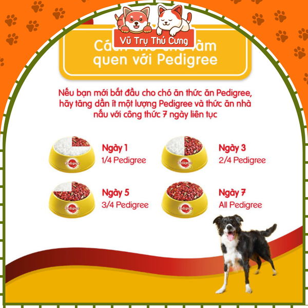 Thức ăn Pate cho chó con PEDIGREE dạng sốt vị bò, trứng và rau 80g