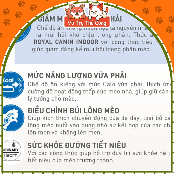 Hạt cho Mèo trưởng thành Royal Canin Indoor 500g/1kg2