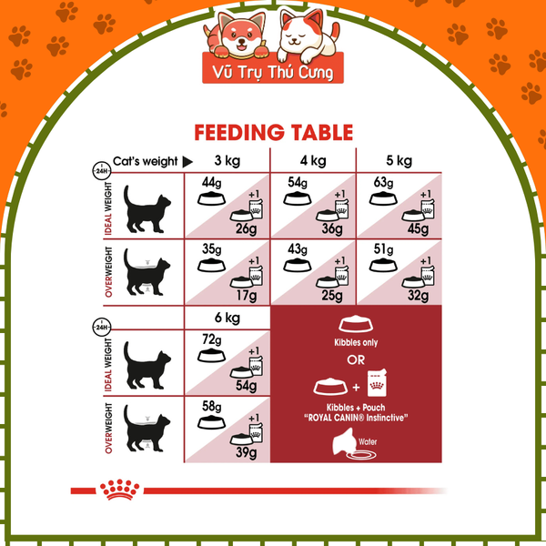 Hạt cho Mèo trưởng thành Royal Canin Fit32 (400g)