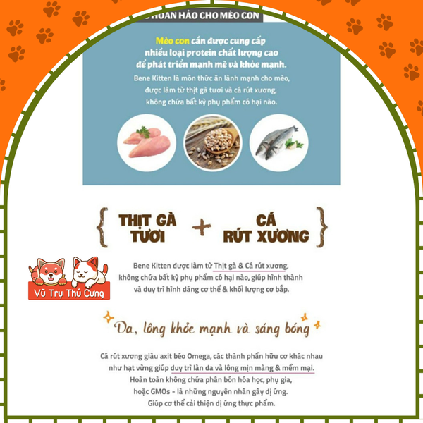Hạt hữu cơ cho Mèo con Natural Core Bene C1