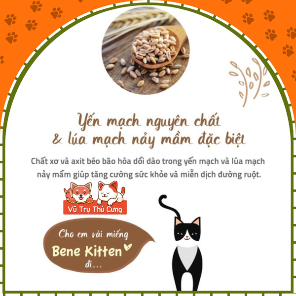 Hạt hữu cơ cho Mèo con Natural Core Bene C1