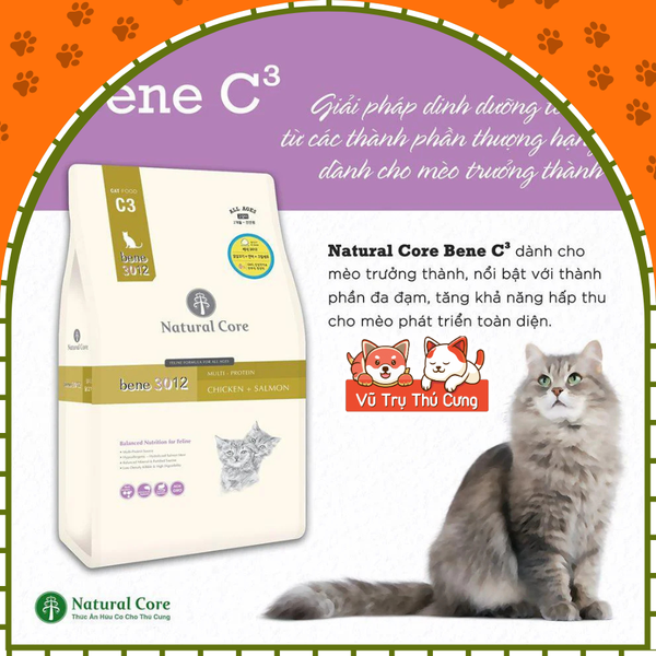 Hạt hữu cơ Natural Core Bene C3 cho Mèo 500g, thịt gà và cá hồi