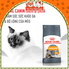 Thức ăn hạt cho Mèo Royal Canin Hair & Skin Care mượt lông và da