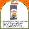 Thức ăn hạt cho Mèo Royal Canin Hair & Skin Care mượt lông và da