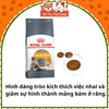 Thức ăn hạt cho Mèo Royal Canin Hair & Skin Care mượt lông và da
