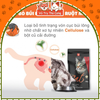 Thức ăn hạt Cat Eye Hàn Quốc cho Mèo 1Kg