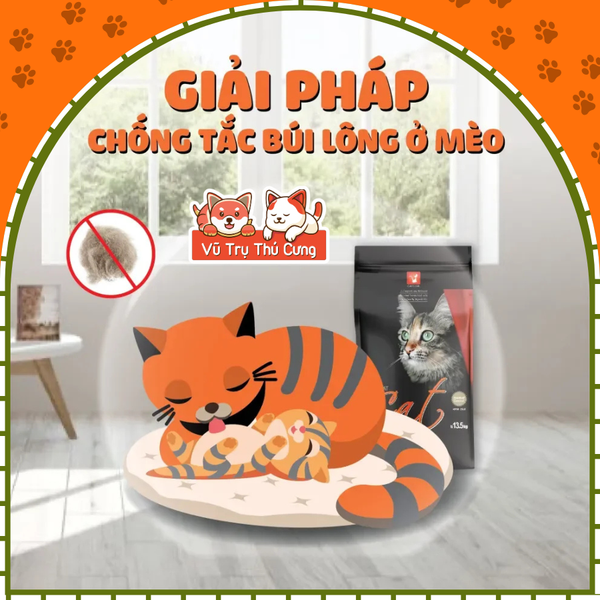 Thức ăn hạt Cat Eye Hàn Quốc cho Mèo 1Kg