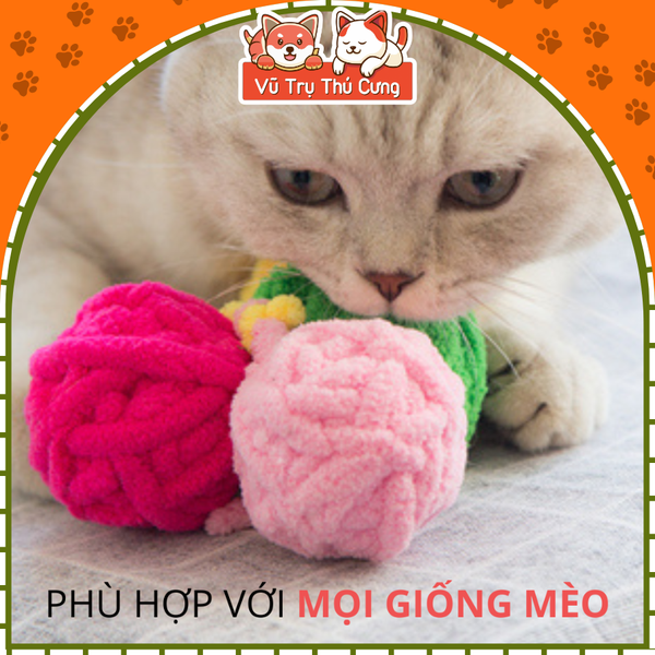 Đồ chơi cho mèo banh tròn vui nhộn có chuông và cỏ mèo FOFOS2