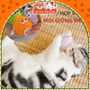 Đồ chơi cho mèo banh tròn vui nhộn có chuông và cỏ mèo FOFOS2