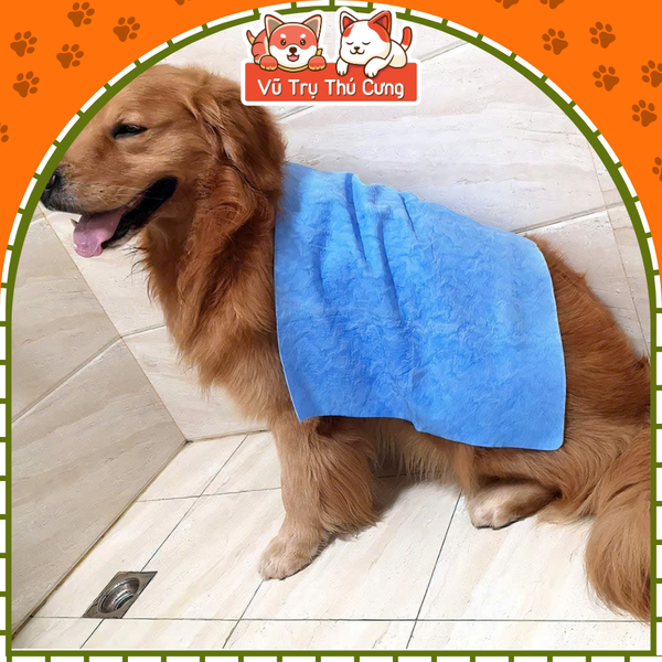 Khăn tắm chó mèo Clean Cham siêu thấm hút, khăn lau đa năng, size 32x43cm