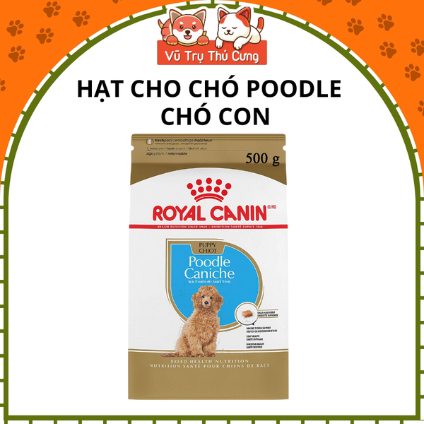 Hạt Cho Chó Con Royal Canin Poodle Puppy