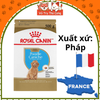 Hạt Cho Chó Con Royal Canin Poodle Puppy