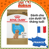 Hạt Cho Chó Con Royal Canin Poodle Puppy