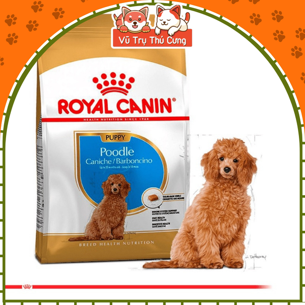 Hạt Cho Chó Con Royal Canin Poodle Puppy