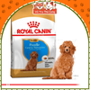 Hạt Cho Chó Con Royal Canin Poodle Puppy