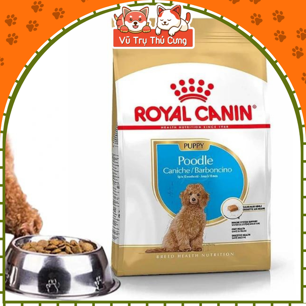 Hạt Cho Chó Con Royal Canin Poodle Puppy