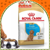 Hạt Cho Chó Con Royal Canin Poodle Puppy