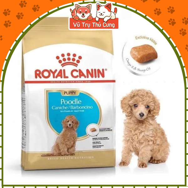 Hạt Cho Chó Con Royal Canin Poodle Puppy