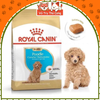 Hạt Cho Chó Con Royal Canin Poodle Puppy