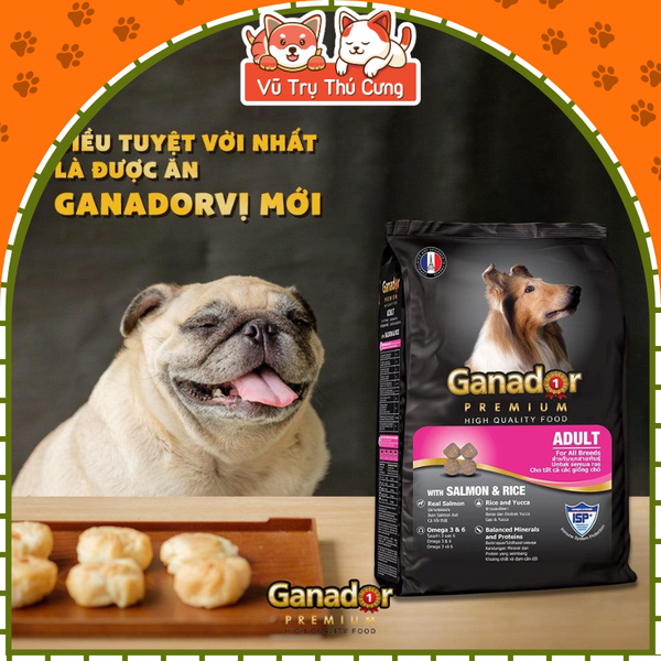 Hạt cho chó trưởng thành Ganador vị cá hồi 400g