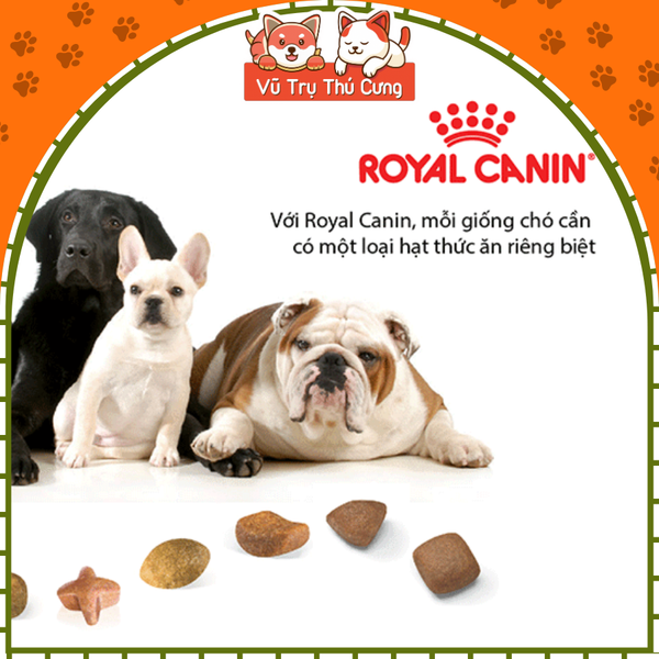 Hạt Cho Chó Con Royal Canin Poodle Puppy
