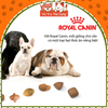 Hạt Cho Chó Con Royal Canin Poodle Puppy