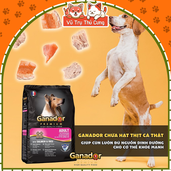 Hạt cho chó trưởng thành Ganador vị cá hồi 400g