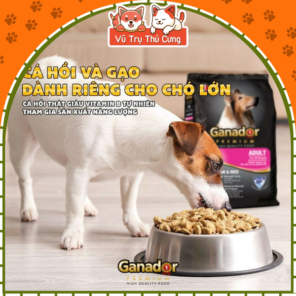 Hạt cho chó trưởng thành Ganador vị cá hồi 400g