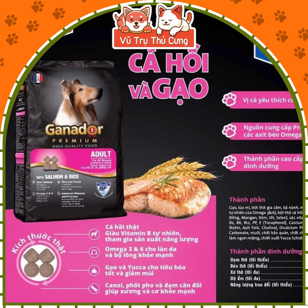 Hạt cho chó trưởng thành Ganador vị cá hồi 400g
