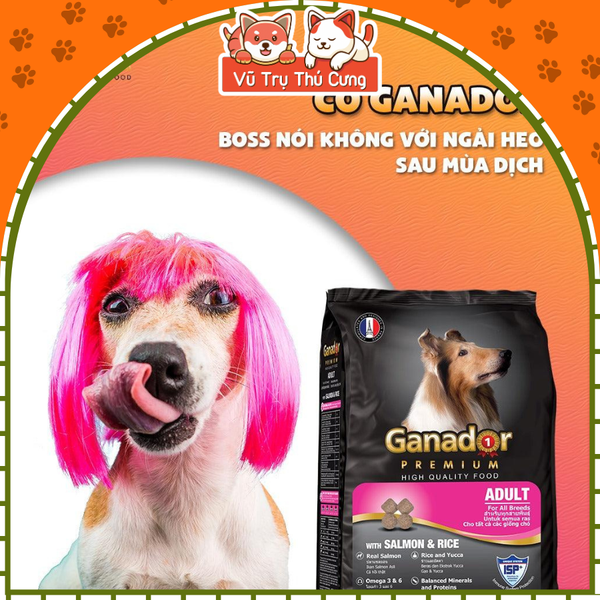 Hạt cho chó trưởng thành Ganador vị cá hồi 400g