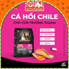 Hạt cho chó trưởng thành Ganador vị cá hồi 400g