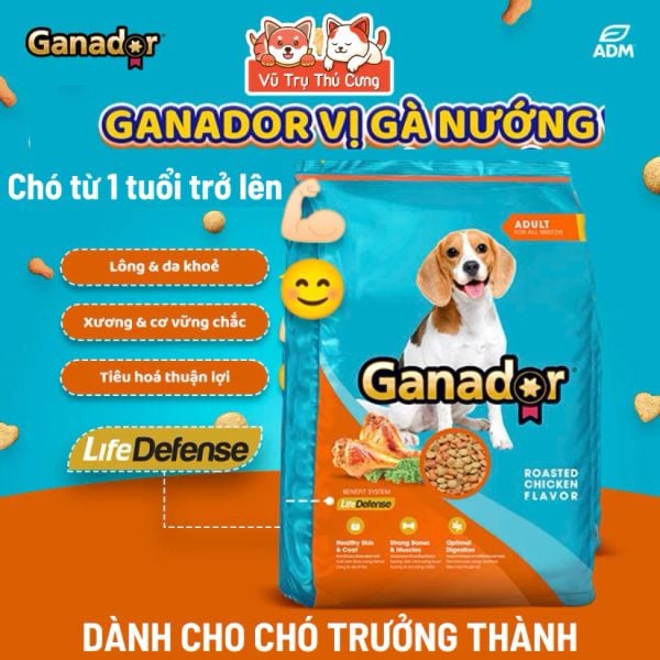 (3KG TẶNG 400G) Thức ăn hạt cho Chó con, Chó trưởng thành Ganador