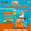 (3KG TẶNG 400G) Thức ăn hạt cho Chó con, Chó trưởng thành Ganador