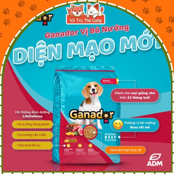 (3KG TẶNG 400G) Thức ăn hạt cho Chó con, Chó trưởng thành Ganador