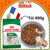 Hạt cho chó trưởng thành Royal Canin Mini Adult 800g, 2kg