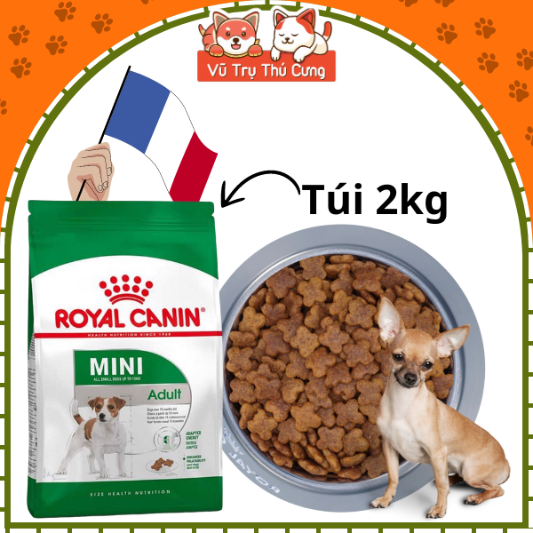 Hạt cho chó trưởng thành Royal Canin Mini Adult 800g, 2kg