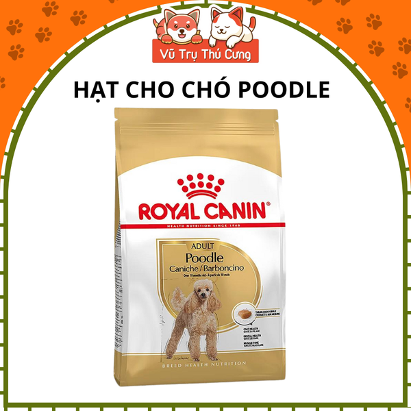 Hạt Cho Chó Trưởng Thành Royal Canin Poodle Adult
